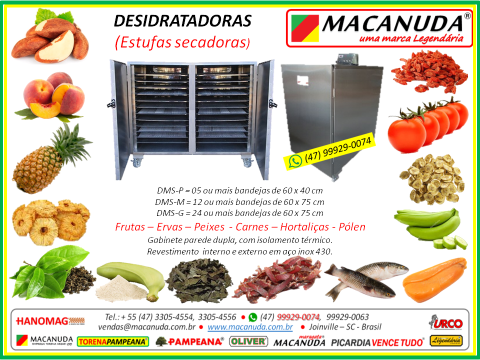 DESIDRATADORA INDUSTRIAL DE BANANA MACANUDA